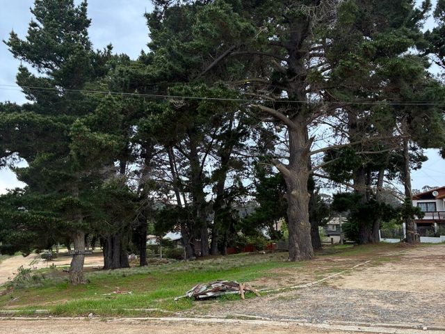 place photo 26