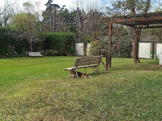 place photo 22