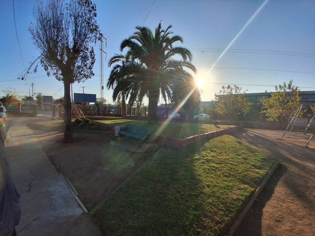 place photo 19