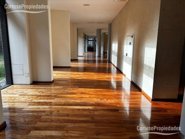 place photo 48