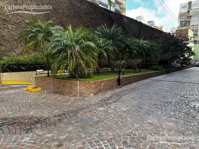 place photo 36
