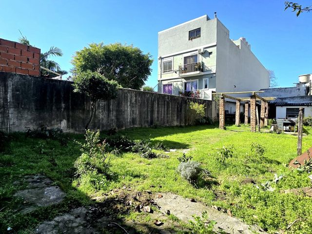 place photo 32