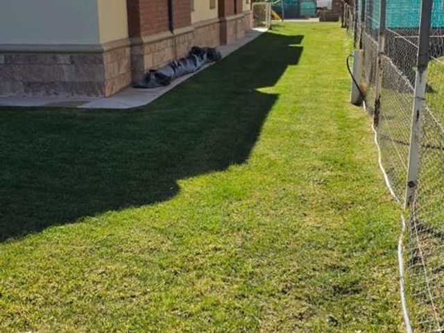 place photo 31