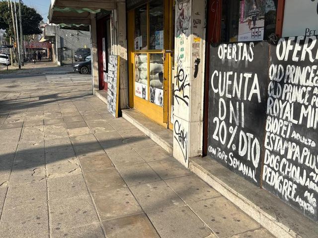 place photo 26