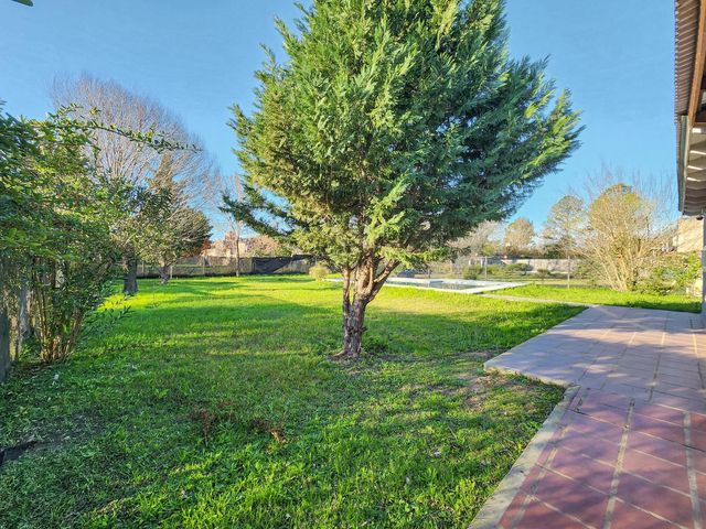 place photo 31