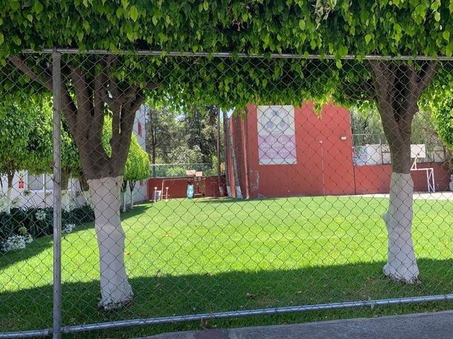 place photo 21