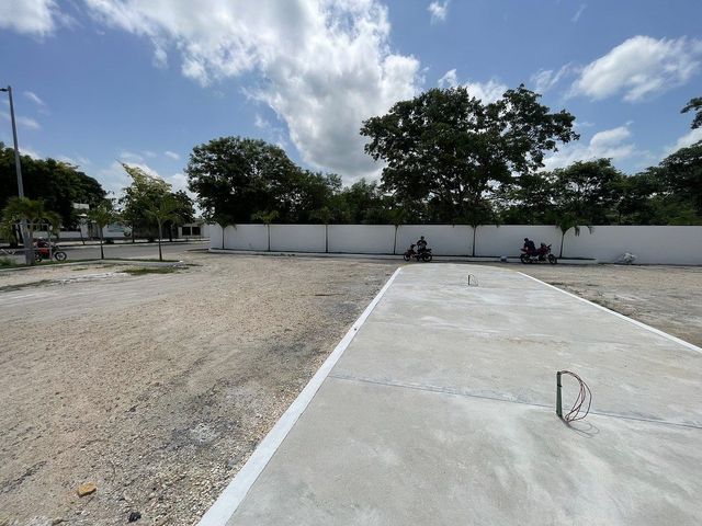 place photo 29