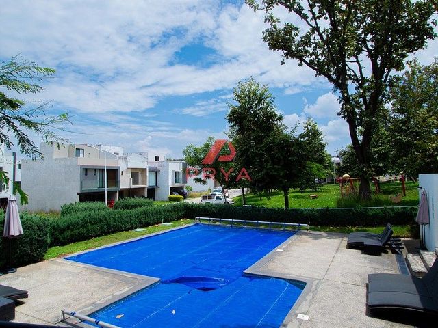 place photo 43