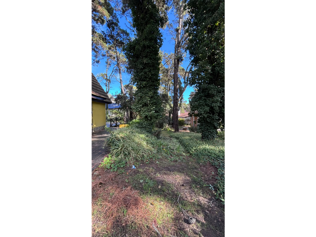 place photo 31