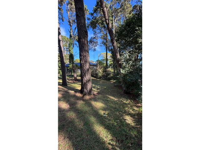 place photo 35