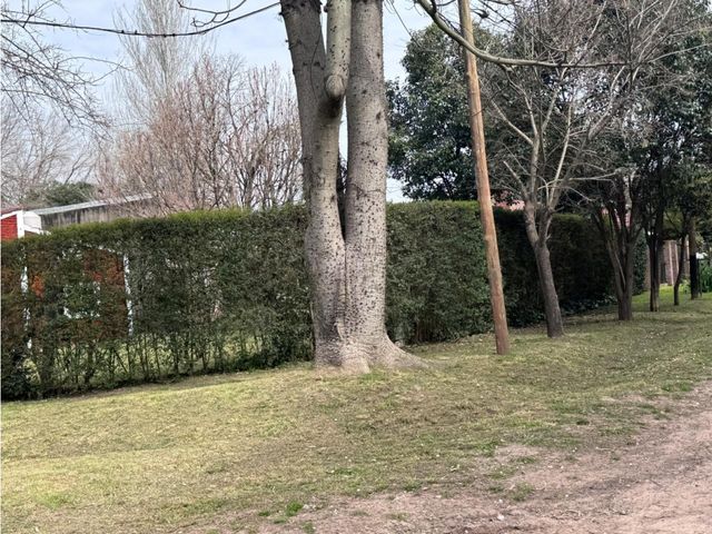 place photo 24