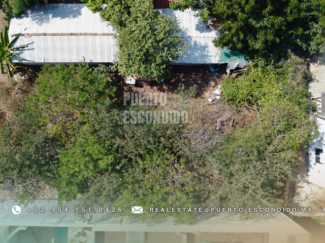 place photo 18