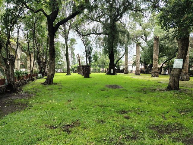 place photo 18
