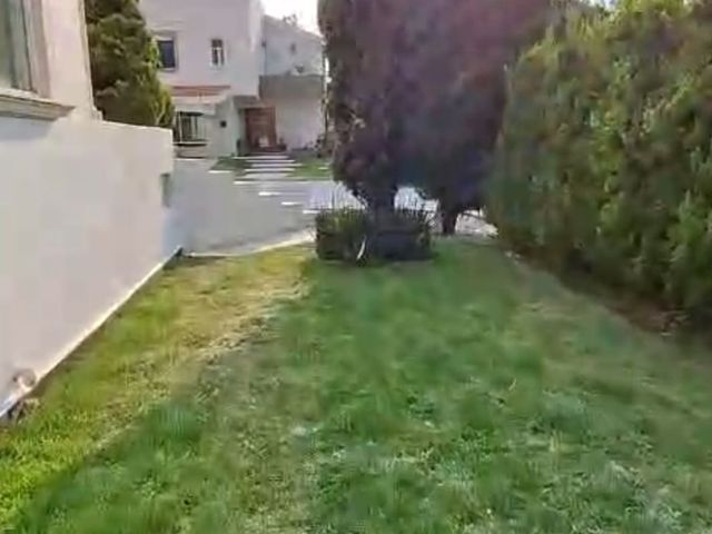 place photo 38