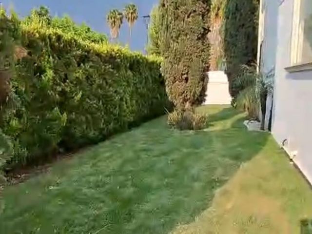 place photo 37
