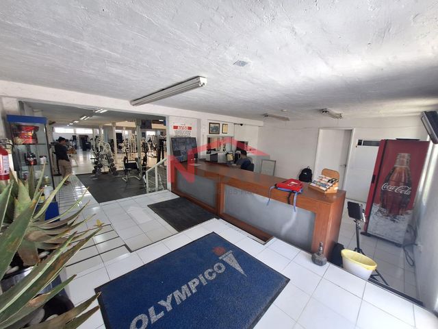 place photo 10