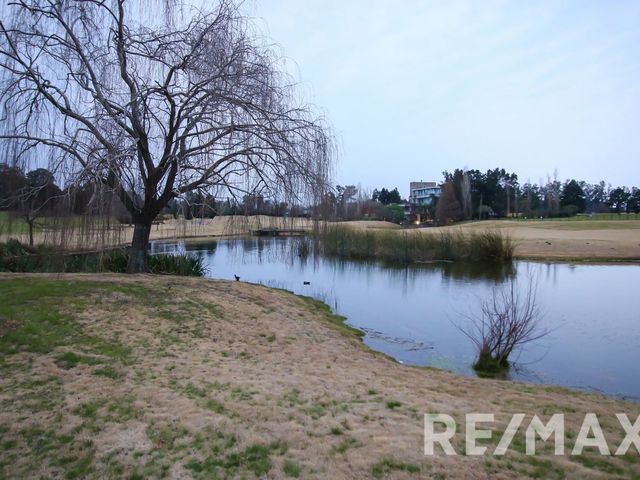place photo 48