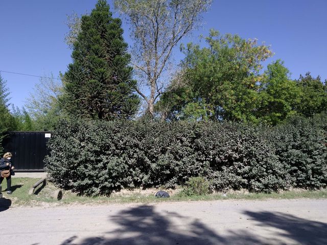 place photo 35