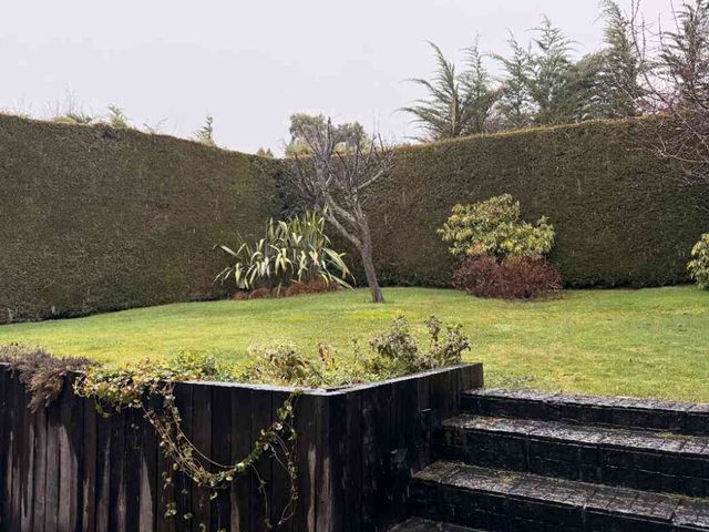 place photo 38