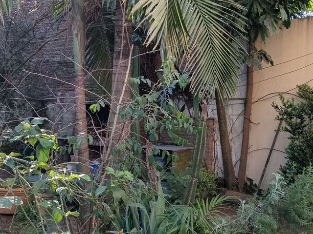 place photo 31
