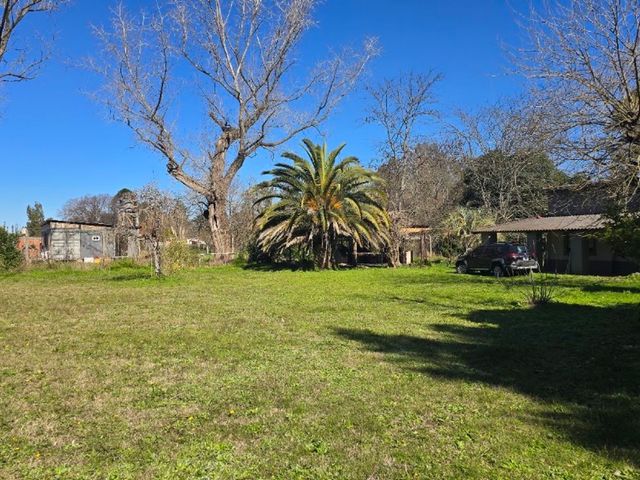place photo 31