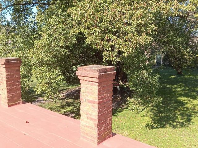 place photo 66