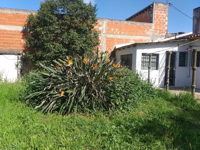 place photo 13