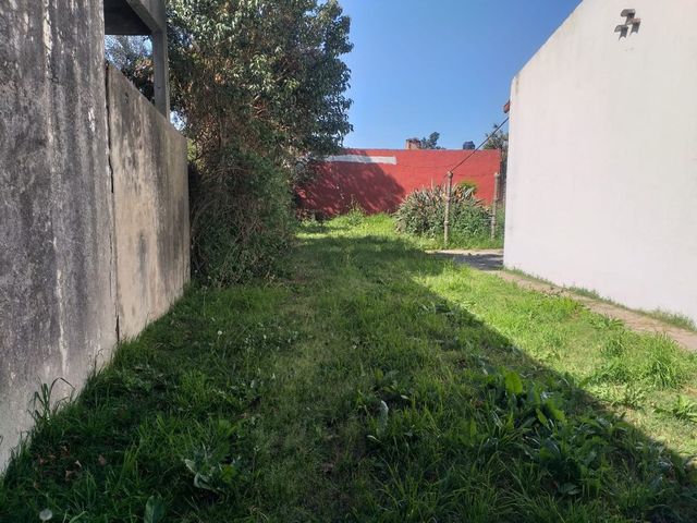 place photo 11
