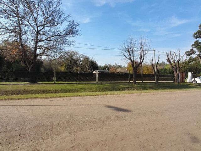 place photo 20