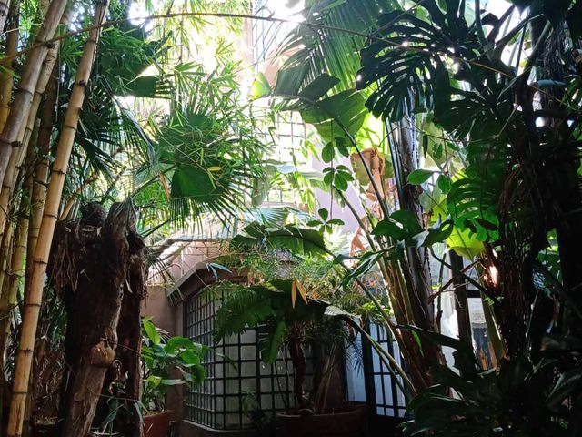 place photo 44