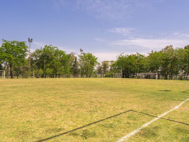 place photo 35