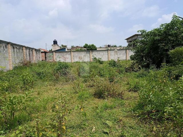 place photo 20