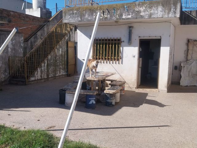 place photo 9