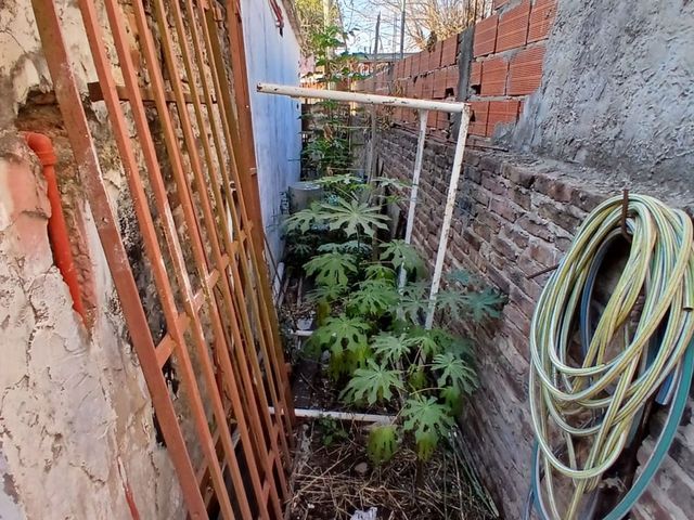place photo 36