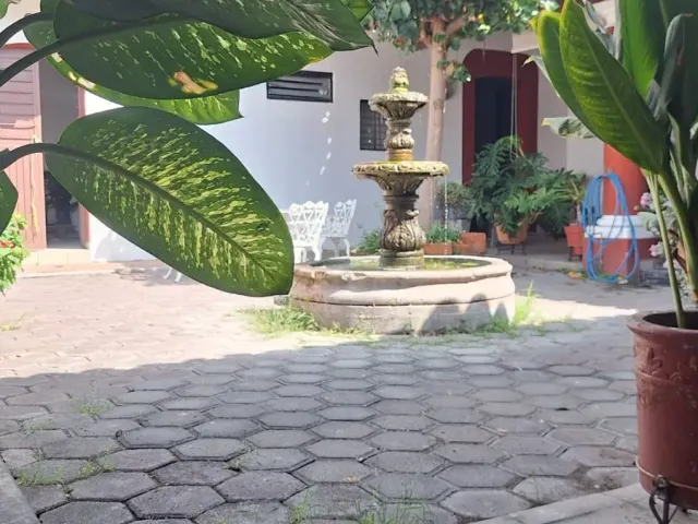 place photo 3