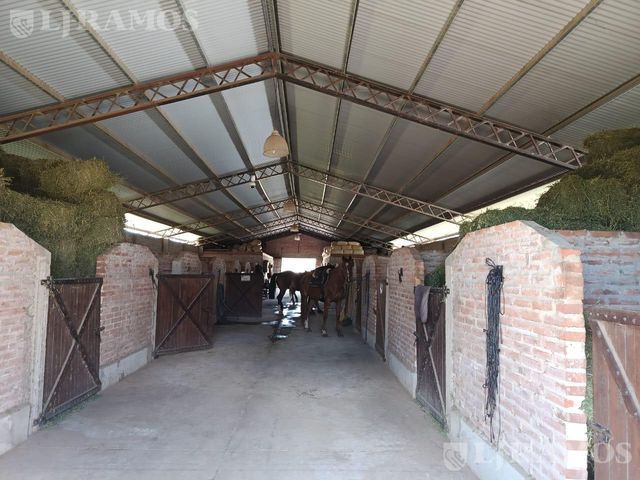 place photo 33