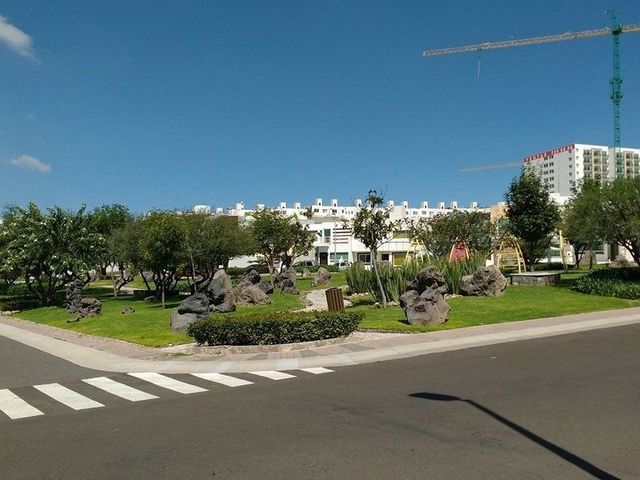place photo 22