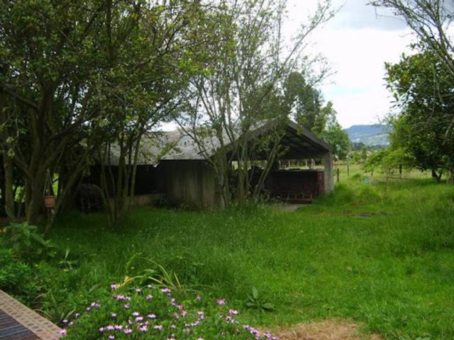 place photo 26