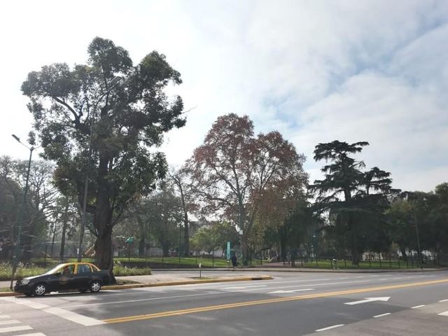 place photo 34