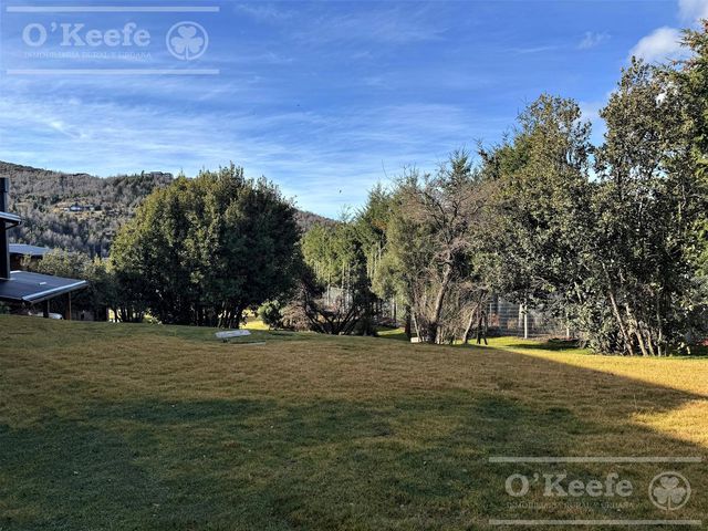 place photo 57