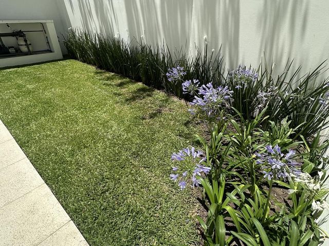 place photo 31