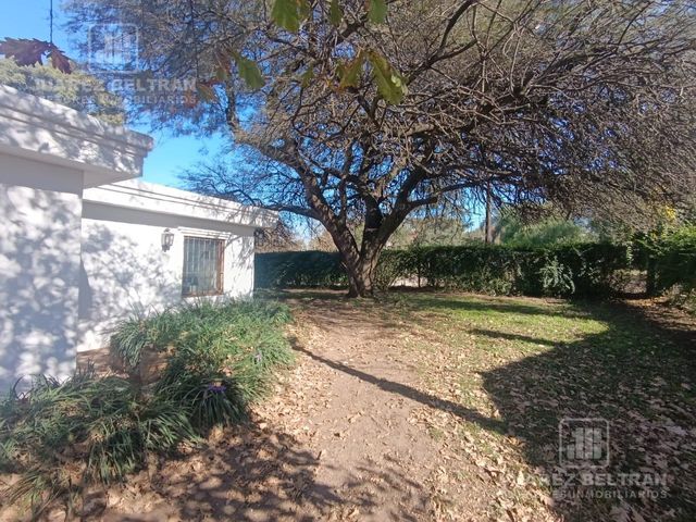 place photo 35