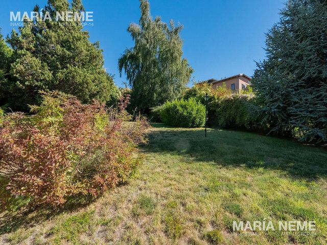 place photo 49