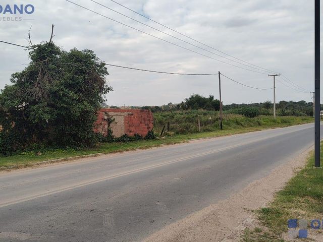 place photo 22