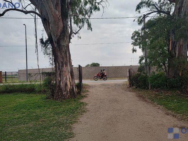 place photo 17