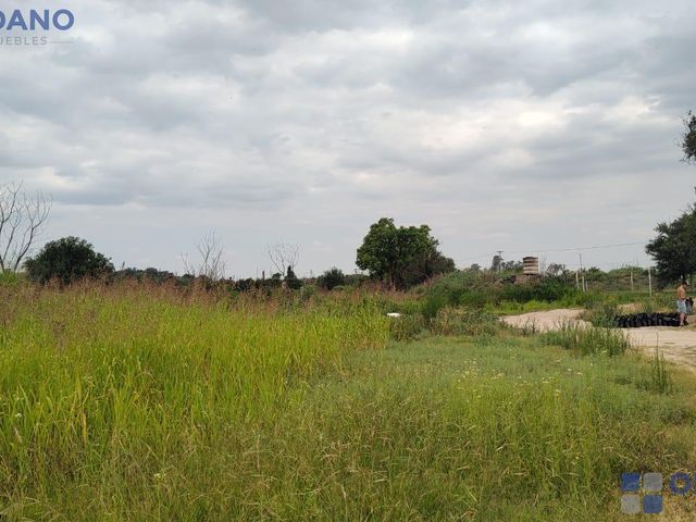 place photo 15