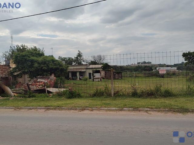 place photo 26