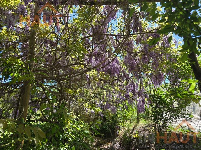place photo 64