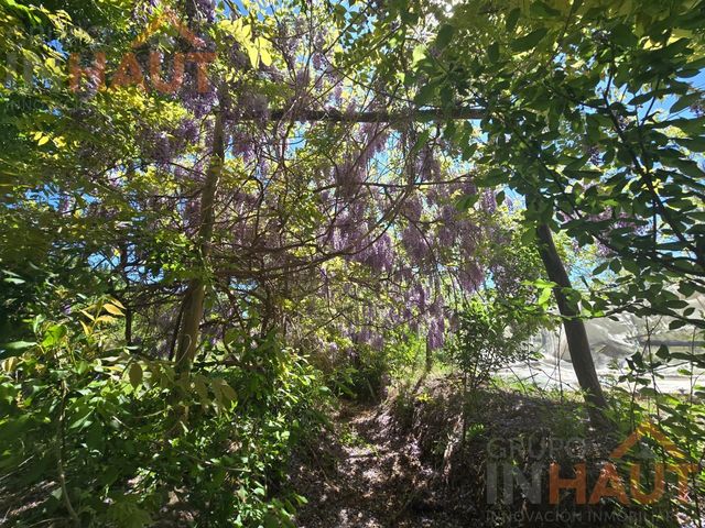 place photo 65