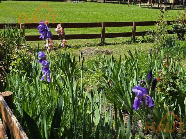 place photo 53